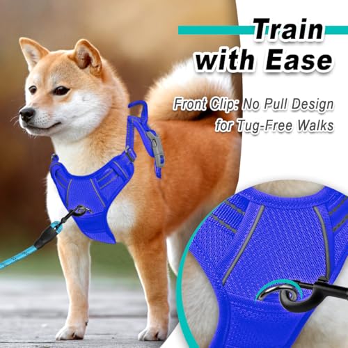 Dog Harness for Medium Sized Dog No Pull Mesh 2 Clips Dog Vest (Medium / Sapphire Blue-Mesh)