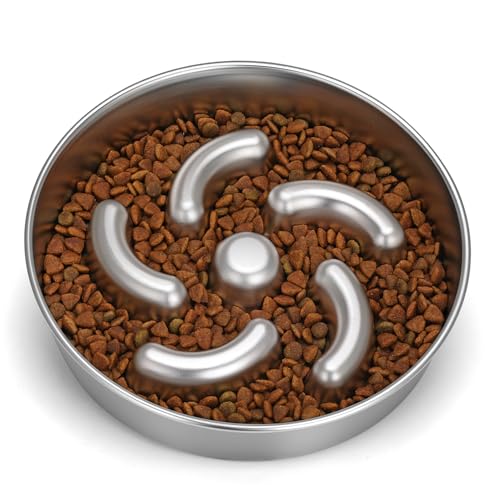 Slow Feeder Dog Bowl