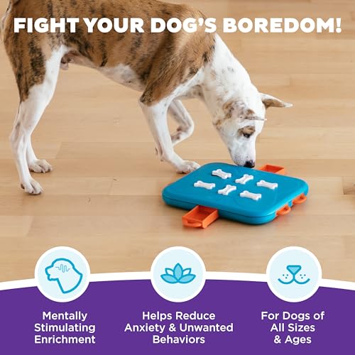 Nina Ottosson Dog Casino Dog Toy Treat Puzzle (Dog Casino (Blue, Orange) / 1 Count (Pack of 1))