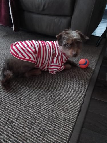 Turtleneck Dog Shirt Cute Doggie Embroidery Super Soft Dog Sweatshirt Stretchy Striped Puppy Pullover for Cats Small Medium Large Dogs (Red Striped / XXXX-Large)