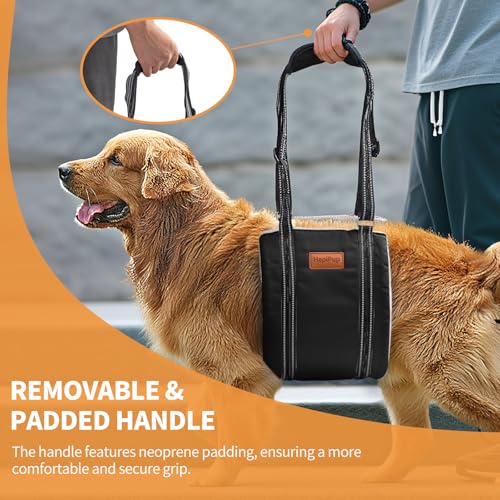 Dog Lift Harness for Large Dogs (Medium (Pack of 1) / Black)