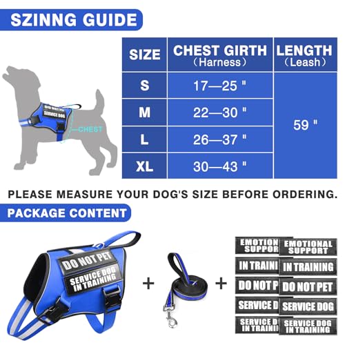 Service Dog Vest Harness and Leash Set+10 Patches (Large / Blue)