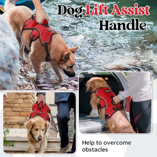 Escape Proof Dog Harness for Large (Red / Large)