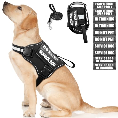 Service Dog Harness & Leash Set (Large / Black)