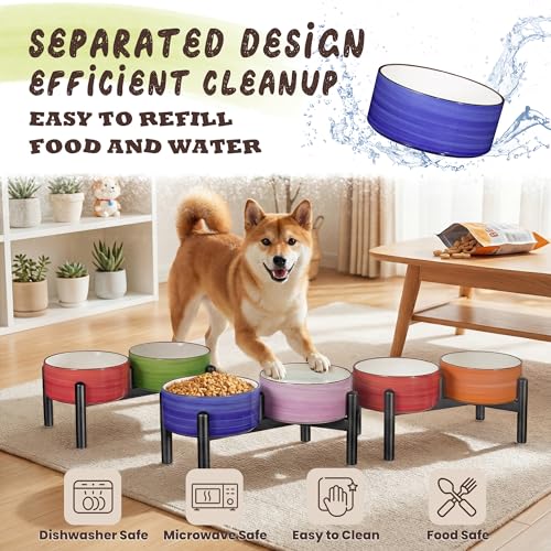 Ceramic Elevated Dog Bowl Set (Thread red+green / 3.5 Cups)