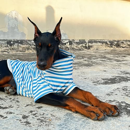 Turtleneck Dog Shirt Cute Doggie Embroidery Super Soft Dog Sweatshirt Stretchy Striped Puppy Pullover for Cats Small Medium Large Dogs (Blue Striped / XXXX-Large)