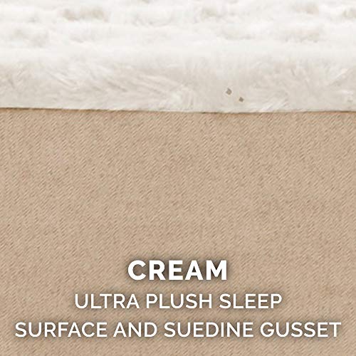 Orthopedic Dog Bed for Large Dogs w (Jumbo Plus / Minky Cream)