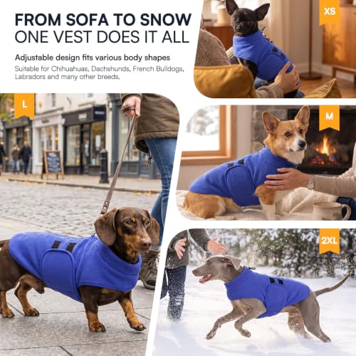 Dog Sweaters for Medium Dogs (Blue / Medium)