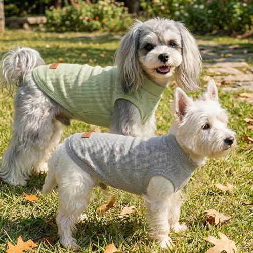 3Pack Dog Shirts Lightweight Waffle Dog Shirt for Small DogsSleeveless Dog Shirt for Small Medium Boy Girl Dogs Cozy & Breathable Pet Vest (M(Back: 13.8", Chest: 17.7", 8.8-13.2lbs) / Light Green+Light Grey+Iron Blue)