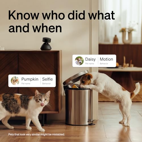 Dog Camera with Phone App (Black / Pet Cam)