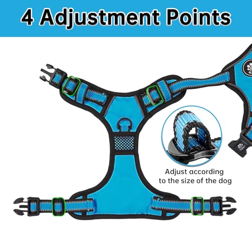 Dog Harness for Small Sized Dog (Blue / Small)