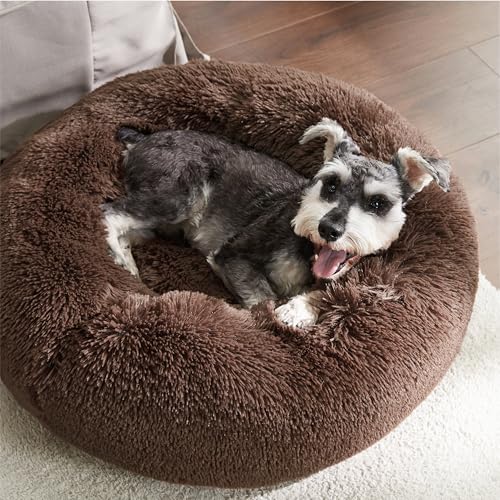 Calming Small Medium Dog Bed Donut Washable Puppy Bed (27"L x 27"W x 8"Th / Coffee)