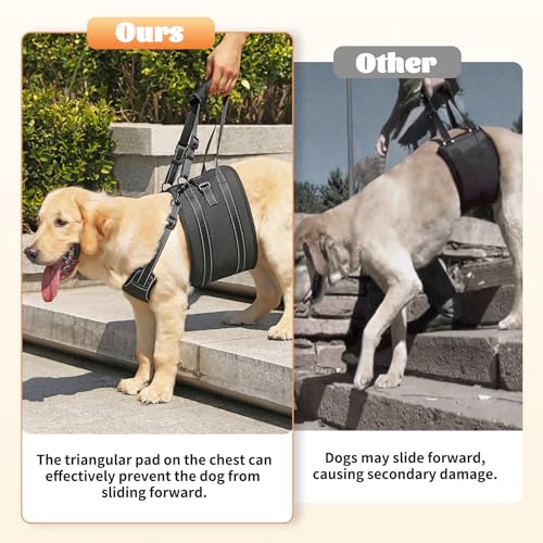 Dog Lift Harness Sling (X-Large / Black1)