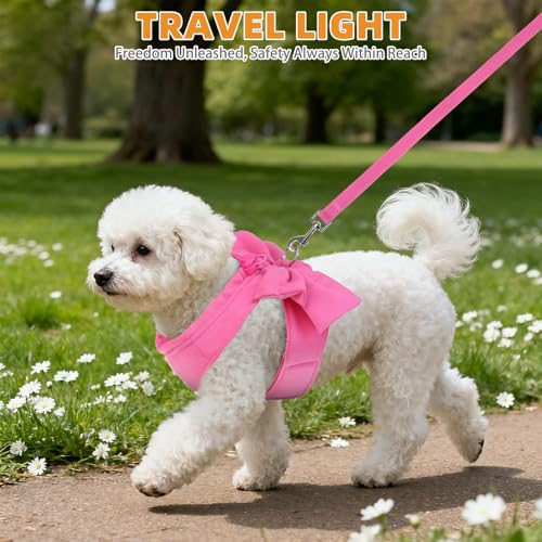 Small Dog Harness and Leash Set (Fuchsia / S (Chest Girth: 13.8"-15.7"))