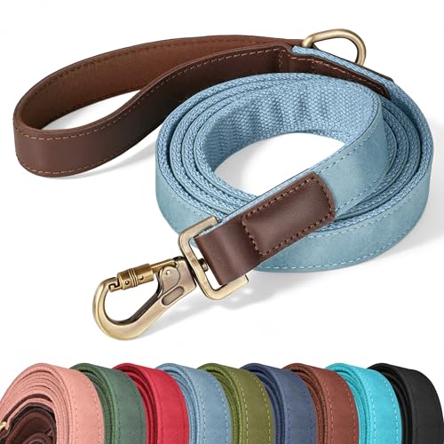 PU Leather Dog Leash for Large Dogs (Denim Blue / 1"x 6FT)