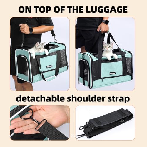 Cat Carrier Soft (Teal / 18.5"L x 11.8"W x 11.8"H)