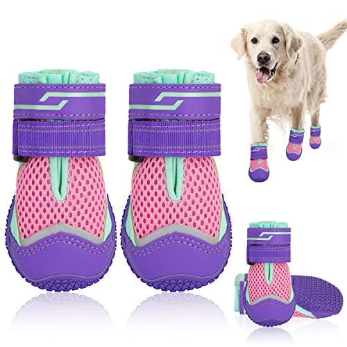 Dog Shoes for Large Small Medium Dogs (Purple / #8 (Width 3.0 inch) for 74-91 lbs)