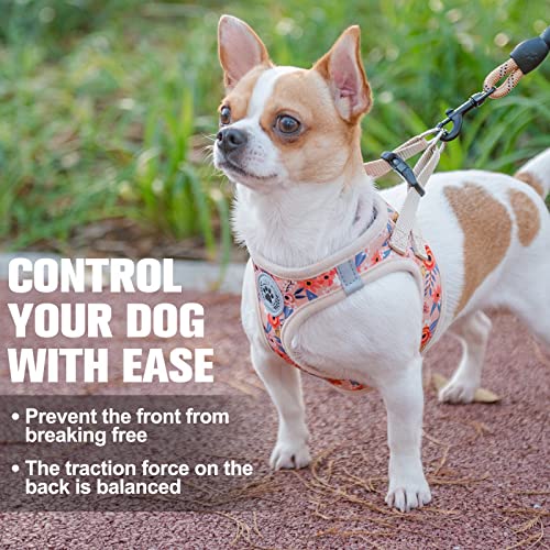 Small Dog Harness and Leash Set (Small(Chest Girth 14.5" - 16") / Pink Rose)