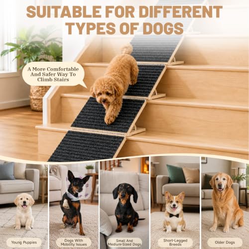 Dog Ramp for Stairs (Black)