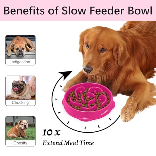1 Pack Slow Feeder Dog Bowls (J-Purple / Large)