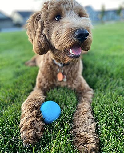 Fetch Balls Extremely Durable Natural Rubber Toy 4 inch (2-Pack (4" Balls))