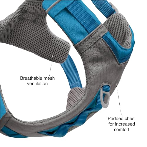 Journey Air Dog Harness (Small / Blue)
