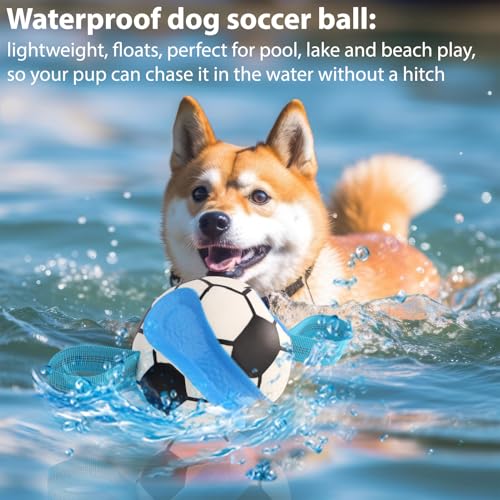 Dog Toys Balls (Blue White)