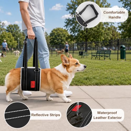 Leather Dog Lift Harness for Small Dogs (S)