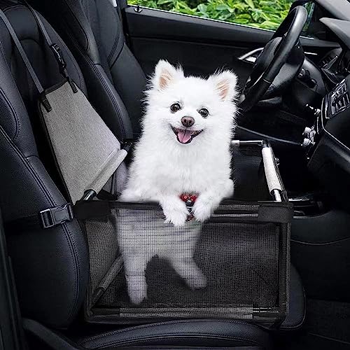 Small Dog Car Seat
