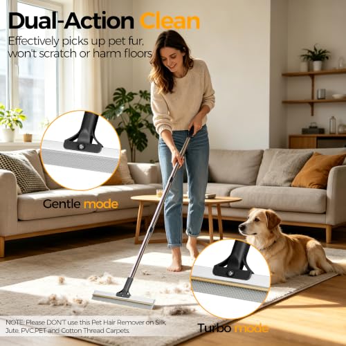 Carpet Rake for Pet Hair Removal Tool (Black)