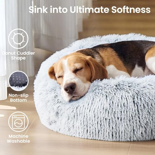 Small Dog Bed (01 - Smoke Grey / 20.0"L x 20.0"W x 6.0"Th)
