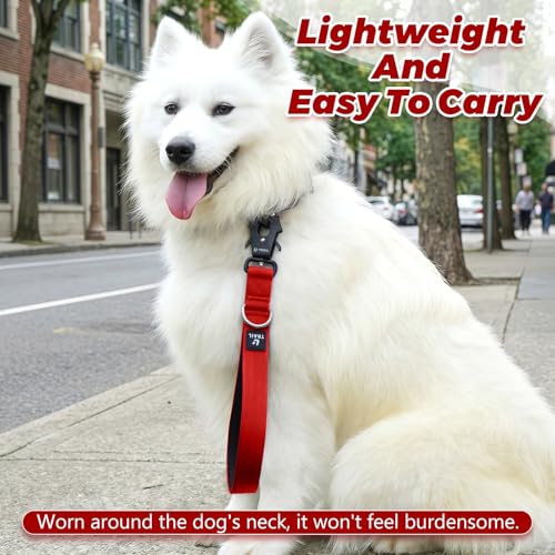 14 Inch Traffic Dog Leash with Padded Handle (Red)