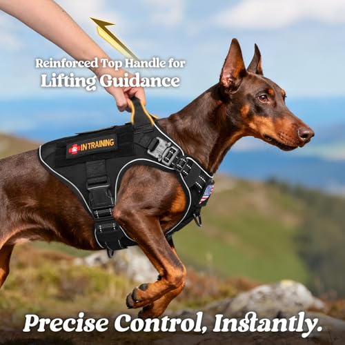 Tactical Dog Harness for Large (Black Reflex / Large)