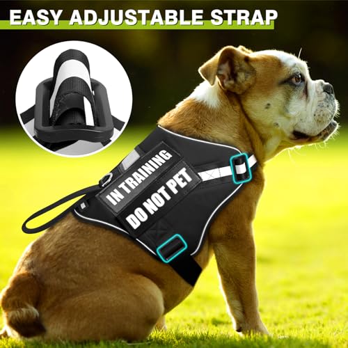 Service Dog Harness and Leash Set (X-Small / Black)