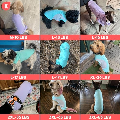 2Pack Dog Cooling Shirt with UPF 50+ UV Protection (X-Large (19-27lbs) / Purple)