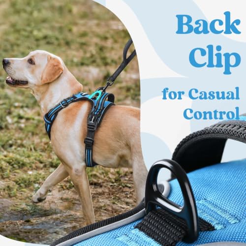 Dog Harness for Large (X-large / Sky Blue)