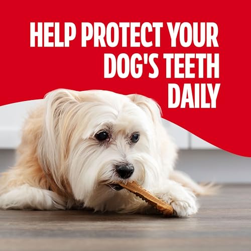 Brushing Chews Mini Daily Dental Dog Treats (48 Count (Pack of 1))
