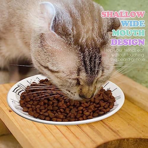 10 Pcs Ceramic Cat Bowl Whisker Fatigue 6 Inch Set