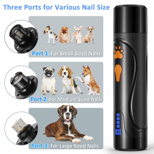 Dog Nail Trimmers and Dog Nail Clippers Kit (Black)