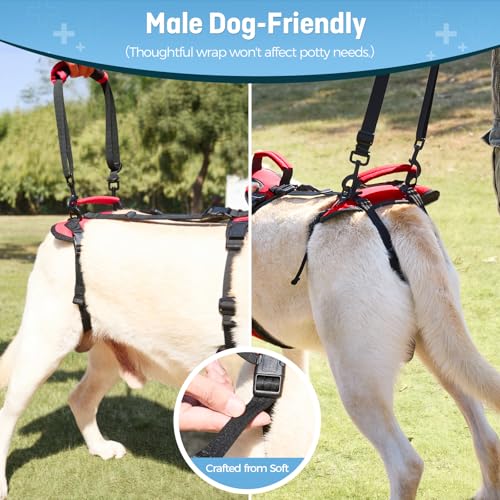 Dog Lifting Harness for Medium Dogs (Red / Medium)