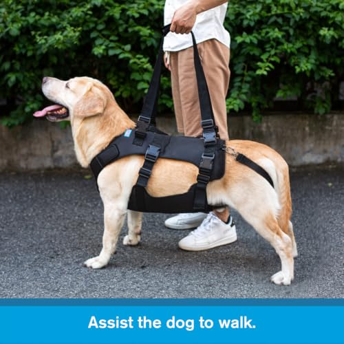 Dog Lift Harness (S / Black)