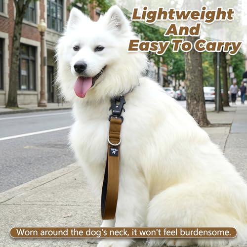 14 Inch Traffic Dog Leash with Padded Handle (Khaki)