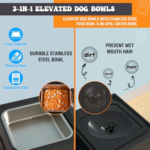 Elevated Dog Bowls (No-Spill Water Bowl & Stainless Steel Bowl Black)