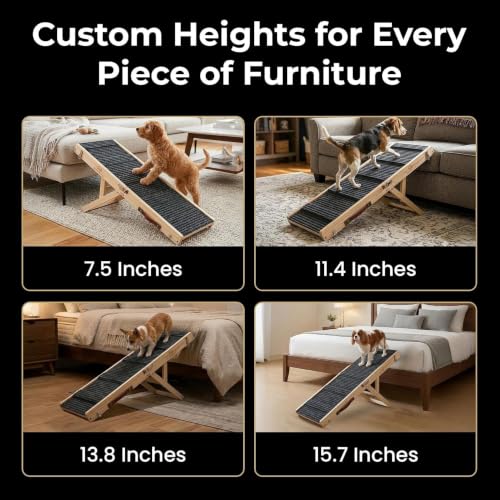 Small Dog Ramp for Bed & Couch