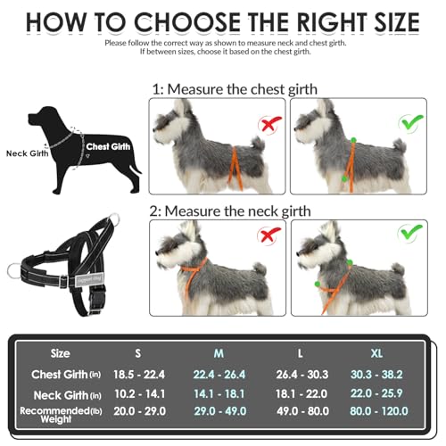 No Pull Dog Harness and Leash Set (Black / Small)