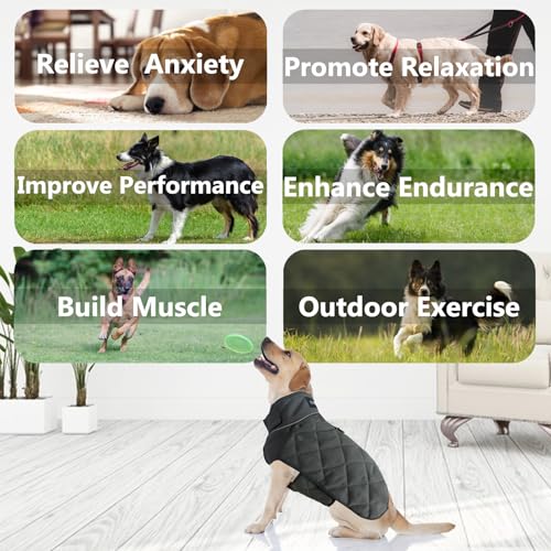 Weighted Dog Vest (Grey / Small)