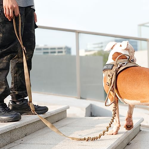 5 6FT Military Bungee Dog Leash Adjustable Elastic (Coyote Brown)