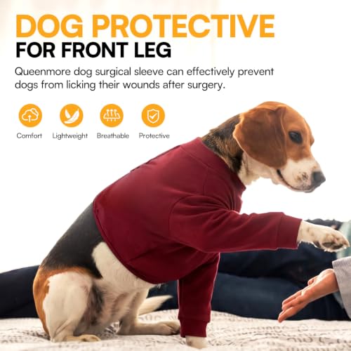 Large Recovery Suit for Dogs (XX-Large / Burgundy)