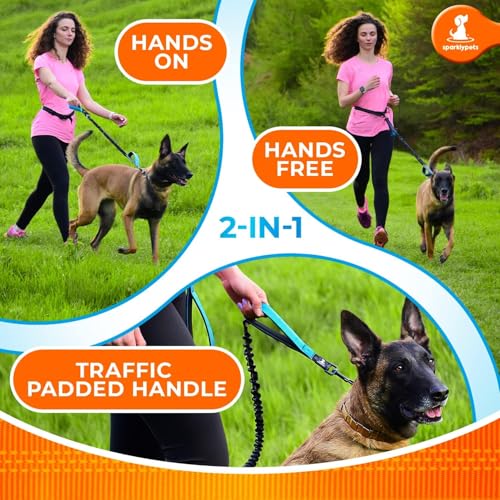 Hands Free Dog Leash (Gradient Pink / 1 dog M/L)