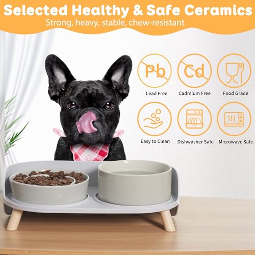 Elevated Slow Feeder Dog Bowls with Splash Proof Stand (Medium / Grey)